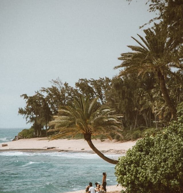 🌴 Viaja con tu grupo de amigos a Punta Cana 🌴