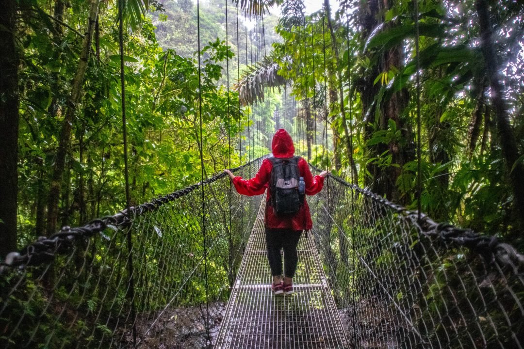 Puente colgante entre el bosque nuboso de Monteverde, Costa Rica