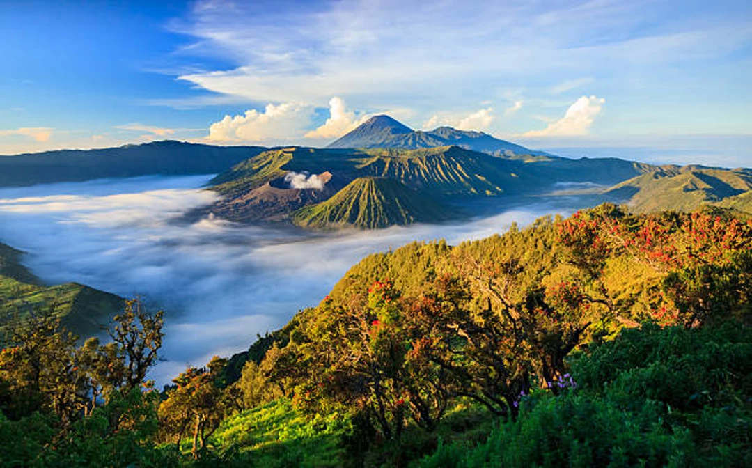 Paisaje de Komodo como extensión de una luna de miel en Bali e Indonesia