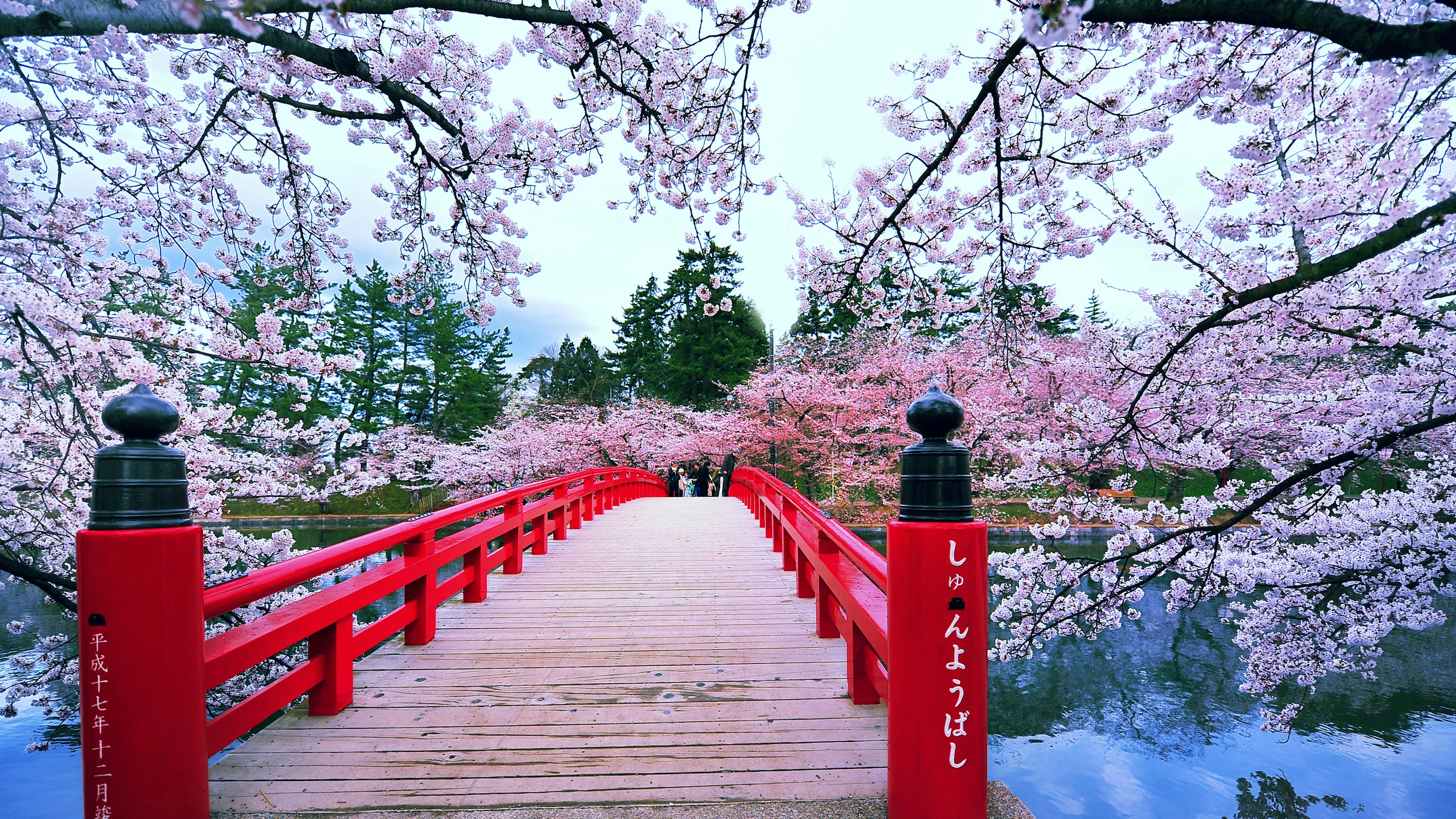 Onsen con vistas al Monte Fuji en Hakone, Japón
