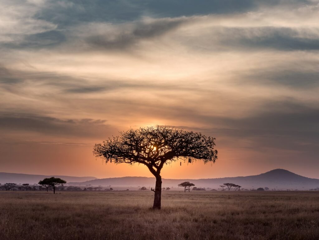 luna de miel en tanzania