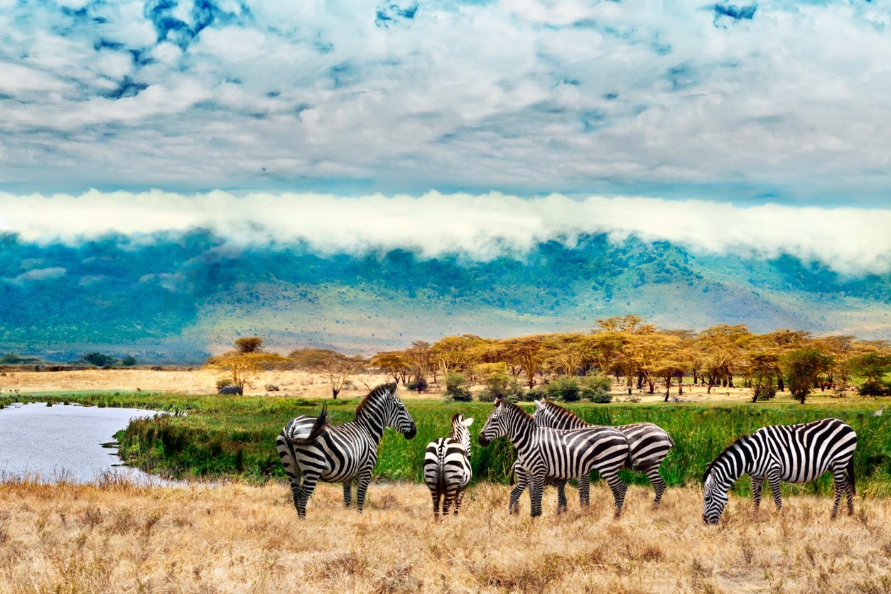 mejor epoca para viajar a tanzania