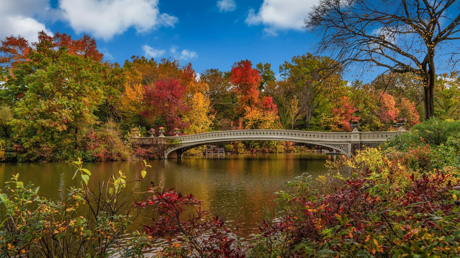 Puente Bow Bridge en Central Park rodeado de árboles con colores de otoño
