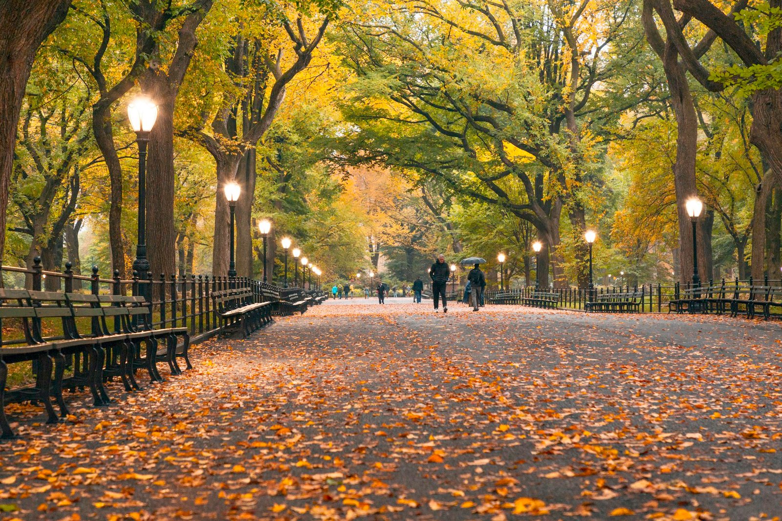 Paseo de The Mall en Central Park cubierto de hojas otoñales en Nueva York