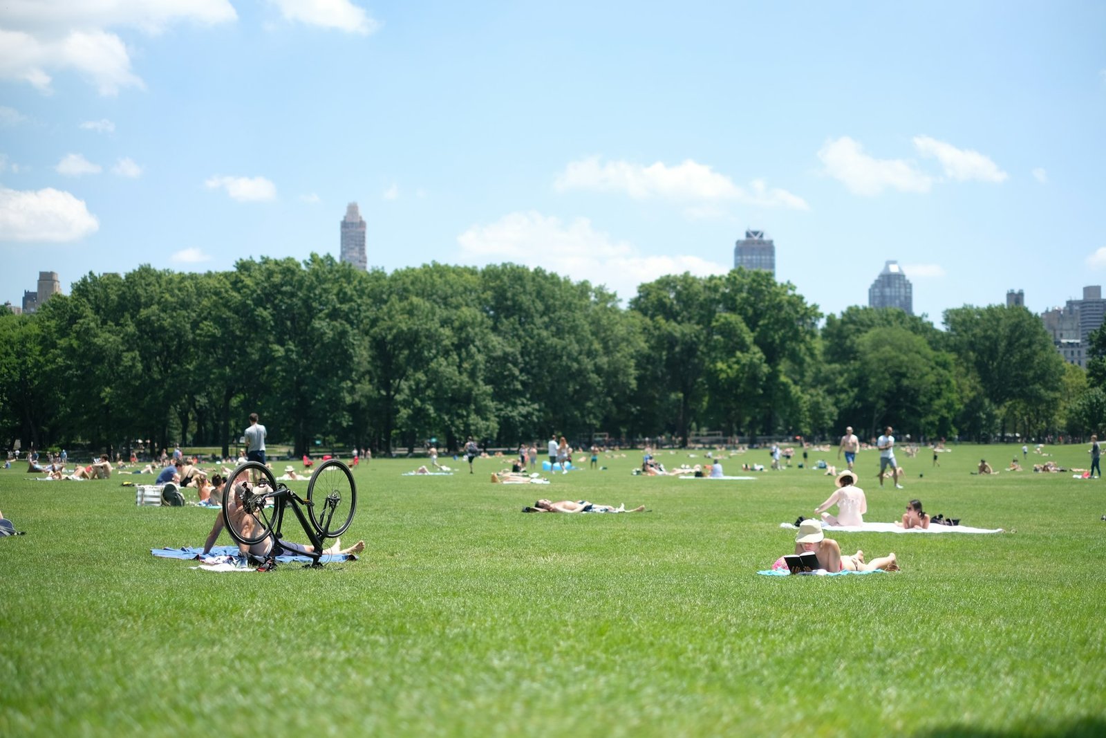 Parejas haciendo picnic en una pradera de Central Park en un día soleado, Nueva York