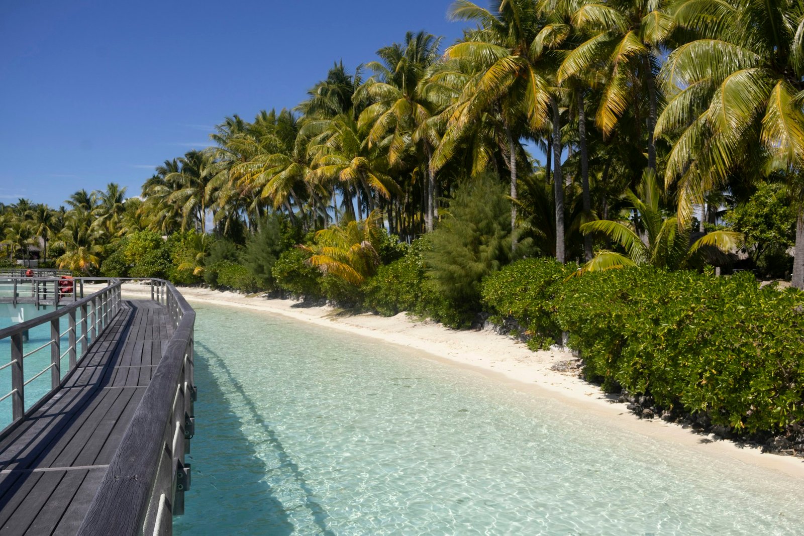 Pasarela de madera junto a una playa de arena blanca con palmeras en la Polinesia Francesa