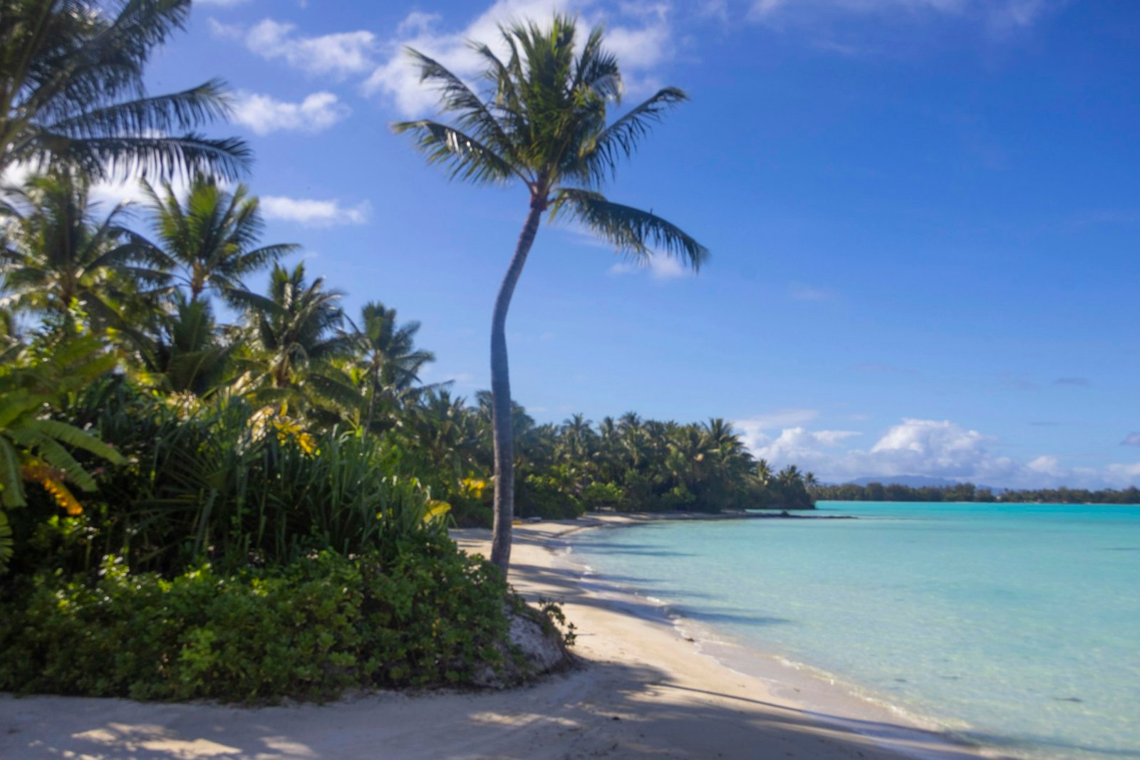 Playa de arena blanca con palmeras y laguna turquesa en la Polinesia Francesa