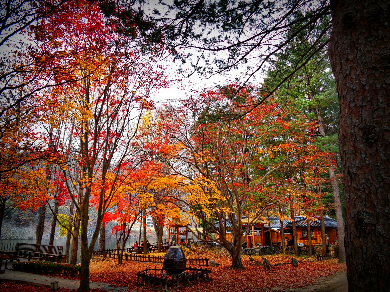 Árboles con colores otoñales en un parque de Seúl en octubre, uno de los mejores meses para viajar a Corea del Sur
