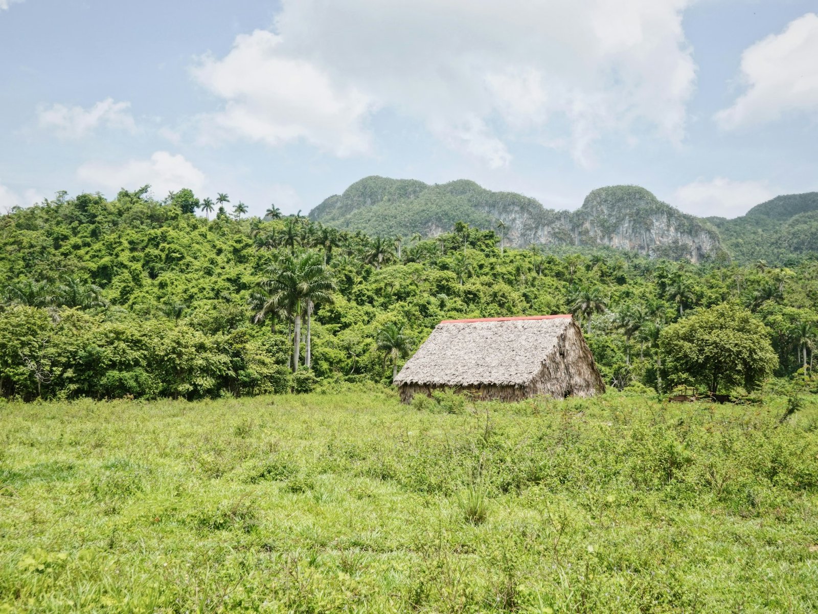 Paisaje verde del valle de Viñales con una casa tradicional, Cuba