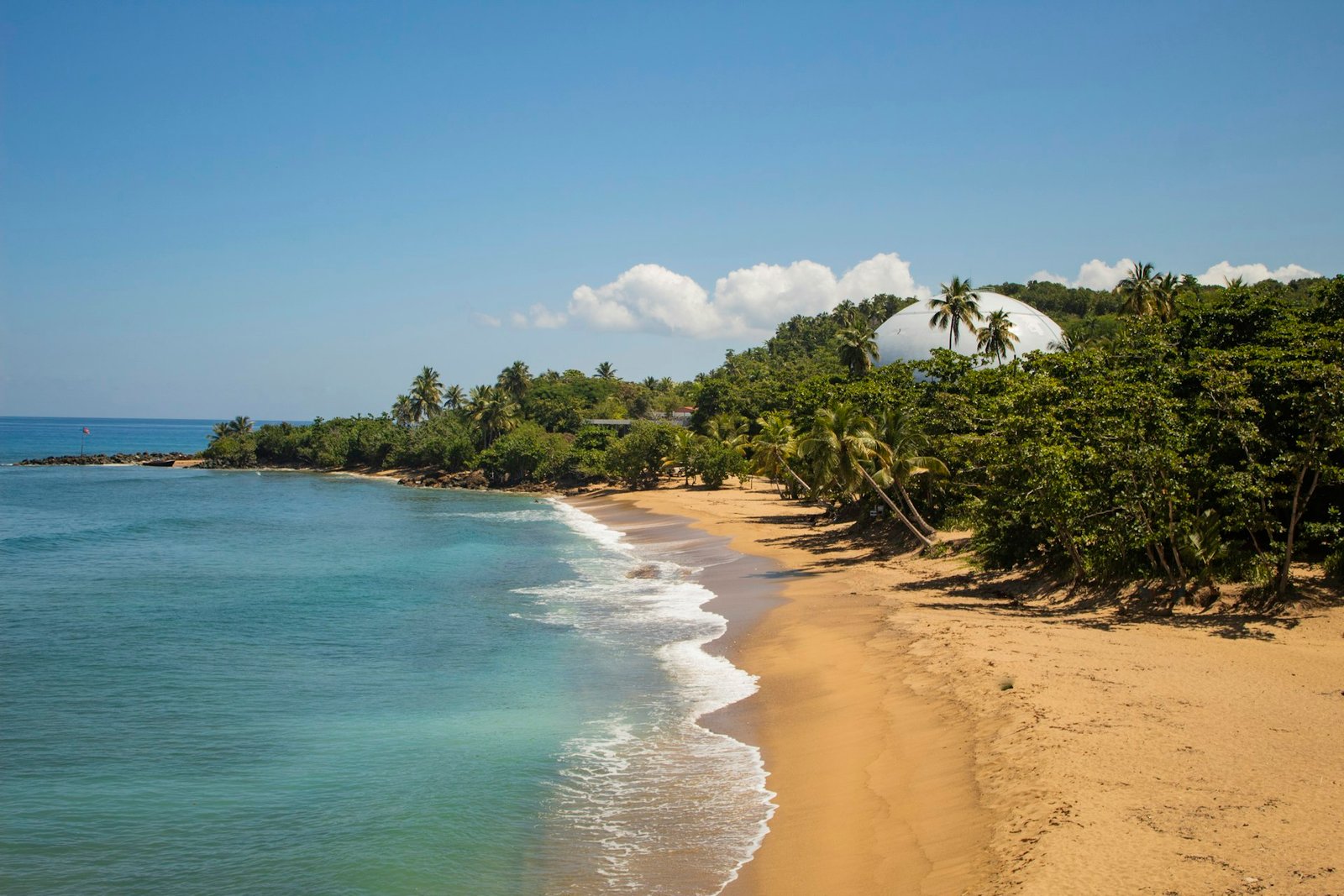 Playa de arena clara con palmeras en Puerto Rico