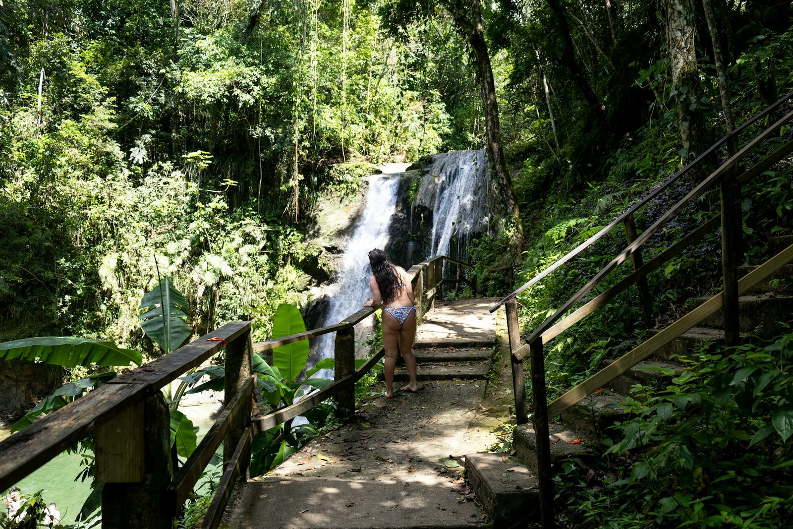 Cascada en un bosque tropical de Puerto Rico